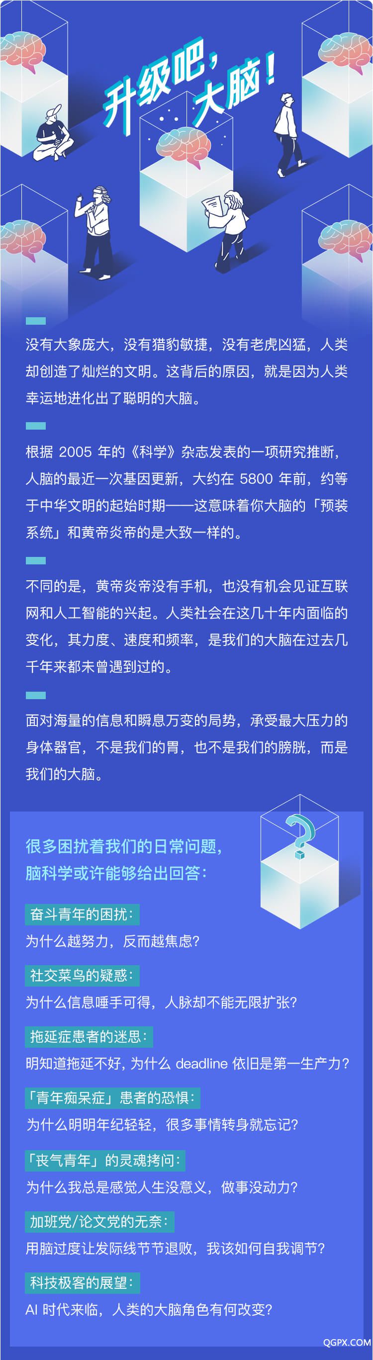 升级吧大脑切图_01.jpg