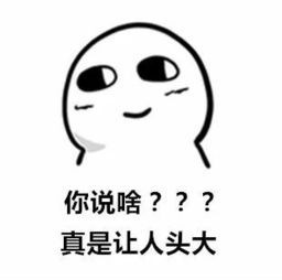 头大_meitu_1.jpg
