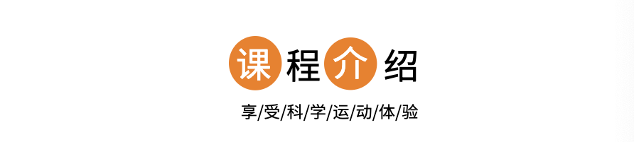 头部.png