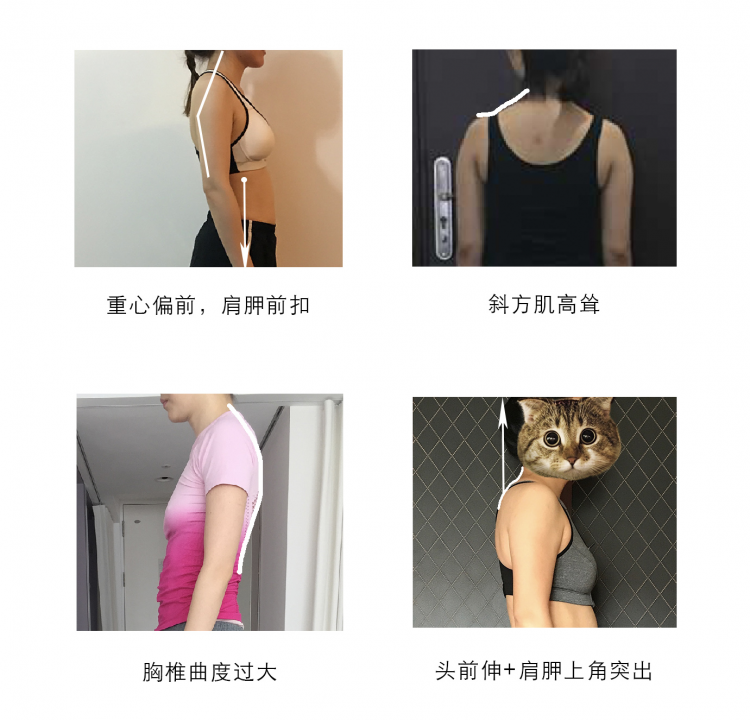 适用对象.jpg
