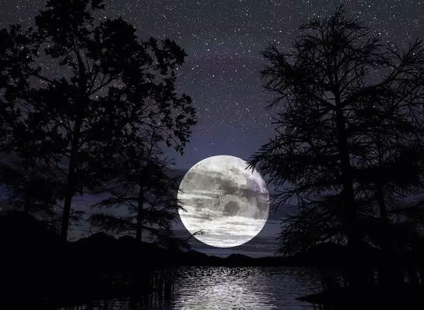 春江花月夜动图.gif 春江花月夜动图.gif
