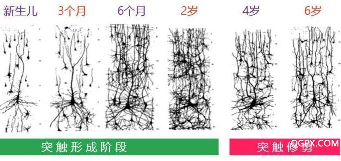 微信图片_20181224140516.jpg