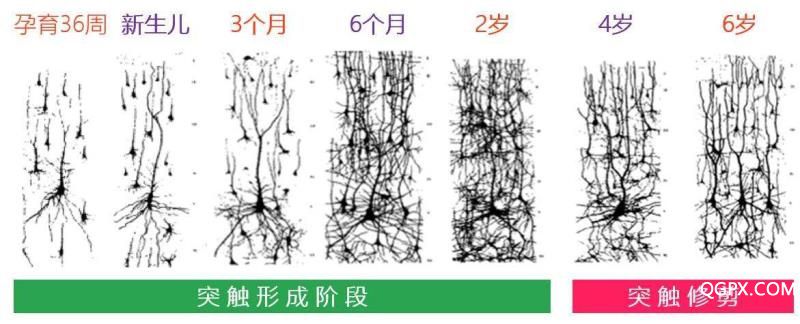 微信图片_20190115180809.jpg