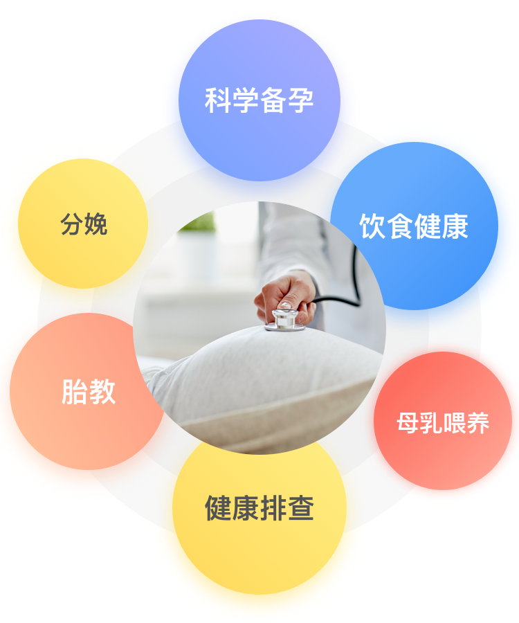 几大板块.png